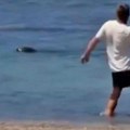 Preduzetniku, koji je gađao foku, život se pretvorio u pakao: "Tuku ga, prete, šalju bolesne pakete"