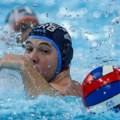 "Neke pobede su dokaz da ništa kroz šta si prošao nije bilo uzalud." Delfini su pre tačno dve godine pokorili svet, a ova…