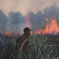 U Indoneziji u julu izgorelo gotovo 95.000 hektara zemlje