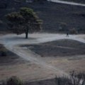 Vlasti Grčke šalju pojačanje u područja zahvaćena požarima