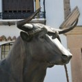 Muškarac umro od povreda zadobijenih kada ga je ubo bik na festivalu u Španiji