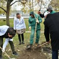 Nastavljena akcija sadnje drveća u Novom Sadu