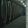 Od štete boli glava Provalnik upao u vinariju, pa prosuo vino vredno 2,5 miliona evra! (video)