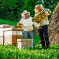 Pčelari obavezni da veterinarskoj stanici prijave broj košnica