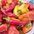 Kad vas hoće! Dušanki se posrećila kupovina na pijaci u Vranju: Paprika za 100 dinara po kilogramu, a gajbu paradajza platila…