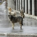 Trovala pse pa ih bacala u bunar – krivična prijava protiv 50-godišnjakinje