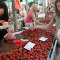 Od pijace do pijace razlika ogromna, novosadska među najpovoljnijima zašto domaće jagode dostižu 700 dinara?