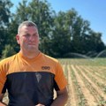 Dok sunce prži, čačanski domaćini čuvaju useve: Srđan ima hektare pod kupusom, sistemi za navodnjavanje rade bez prestanka…