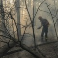 Za 20 godina u Srbiji u požarima izgorelo više od 51.600 hektara šume - površina kao 72.000 fudbalskih terena