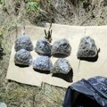 Krivična prijava protiv maloletnika, drogu krio u poljani, oružje u stanu