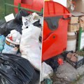 Užas u "maloj Bosni": Deo Sremske Mitrovice zatrpan smećem i leševima životinja