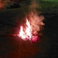 Petrovdansko paljenje lila u Zapadnoj Srbiji