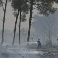 Milatović: Zatražiti međunarodnu podršku u borbi protiv vatrene stihije
