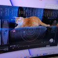 Mačak Tejters zvezda Nasinog video-snimka strimovanog iz dubokog svemira