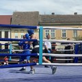 Revijalno kolo lige Vojvodine u boksu održano u Sremskoj Mitrovici
