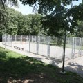 Užas u Beogradu: Muškarac preminuo nakon svađe zbog lopte u parku: Udario glavom o beton!