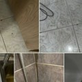 Tirkizno more, mediteranska hrana, a apartmani iz noćne more Jelena s bebom na letovanju u Grčkoj zatekla wc koji pliva u vodi…