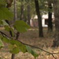 Posle snega – povratak miholjskog leta, temperature u poslednjoj dekadi oktobra i do 25 stepeni