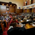 Pooštrene kazne silovateljima i zabrana korišćenja oružja maloletnicima