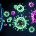 Raste broj obolelih od gripa u Sremu: Potvrđen virus tipa A (H1N1)