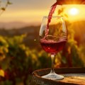 Vino i tradicija: Jesenji običaji u srpskim vinogradima
