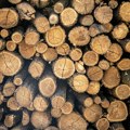 Најбоље греје, а многи га избегавају: Ова врста огревног дрвета има највећу густину и најдуже гори