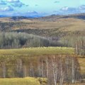 Srbija ili Afrika? Neverovatan prizor na Pešteru: Kraljevi neba sleteli usred sela, meštani u neverici (slika)