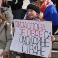 Dijaspora je važan oslonac Srbije – vreme je da dobije institucionalni glas
