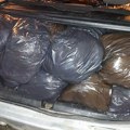 Našli su 300 kilograma "nedozvoljene rezane biljke" u gepeku "opela": Uhapšen mladić iz Sremske Mitrovice