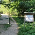Zbog klizišta deo Kameničkog parka od danas zatvoren za posetioce