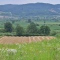 Srpski naučnik s Berklija o litijumu: Napravićemo brdo insekticida na bazi bora, ali i mišomora i arsena