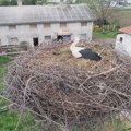 Svaki dan im donosi meso i povće, a ako je kofa prazna roda ide sa njim do prodavnice Nesvakidašnja priča Radoša iz…