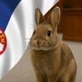 За рубрику "веровали или не", па овај судски процес је урнебесан! Ево због чега су зечеви из једног мачванског села кажњени…