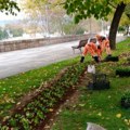 Pranje ulica i trotoara, jesenja sadnja cveća