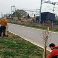 Akcija ozelenjavanja u susret Danu planete Zemlje: Sadnjom 70 sadnica Apotekarska ustanova „Janković“ i gorani i ove godine…