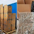 (Foto) Zaplenjena droga vredna više od 160 miliona evra, rekordna akcija policije: U kutijama nađeno 12 tona, uhapšene tri…