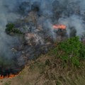 Amazonija u plamenu: Broj požara porastao 253 odsto u odnosu na prošlu godinu, vanredno stanje proglašeno u 36 opština
