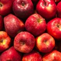 Jabuku je sve teže plasirati na tržište