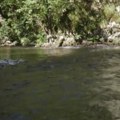 Kupači jedva dočekali! Kreće sezona kupanja u gradu na Đetinji! (foto)