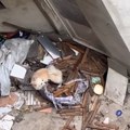 (Video): "Zarobljen je na terasi, na povocu krećem od metra, na gomili otpada, samo cvili i plače": Devojka iz Beograda…