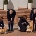Hladan doček za predsednika Austrije, ugrizao ga pas! Diplomatski skandal, svi šokirani izgledom na sastanku (video)