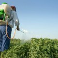 Opasan pesticid pronađen kod 4 od 5 testiranih ljudi