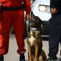 Spasioci i pas Zigi napustili mesto potrage oko kuće kod koje je nestala Danka Ilić (2)