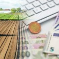 Tokenizacija agrara kao moderan vid onlajn zadruge: Kolika je dobit od ulaganja minimum 100 evra u plantažu lešnika