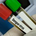 Beograđani pozvani na oprez! Opasan virus se širi, ovako se prenosi zaraza