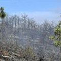 Stabilna situacija sa požarima u selima kod Vranja