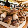 Kilogram skuplji od škampa! Stigli prvi vrganji na pijace: Cena šokirala kupce