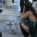 Ovo je Milisav: Robot pas! Novi kućni ljubimac učesnika elite, obožava da se mazi i igra, takmičari raspamećeni (foto)