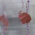 Studentske grupe pokrenule peticiju za vanredne izbore