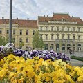 ALUZ o izbacivanju iz zgrade Narodnog muzeja: O odluci obavešteni mejlom